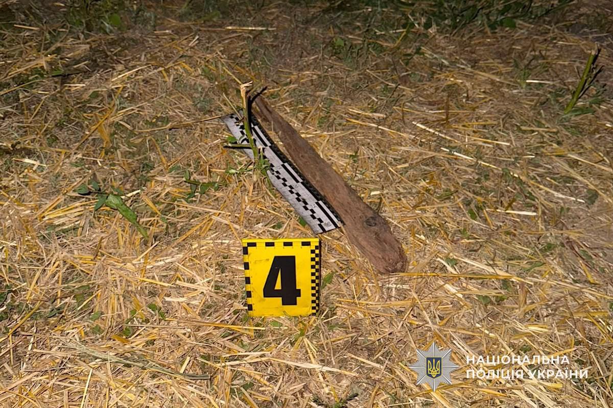 У Кривому Розі затримали чоловіка, який погрожував поліцейським і пошкодив службовий автомобіль - 05.08.2026