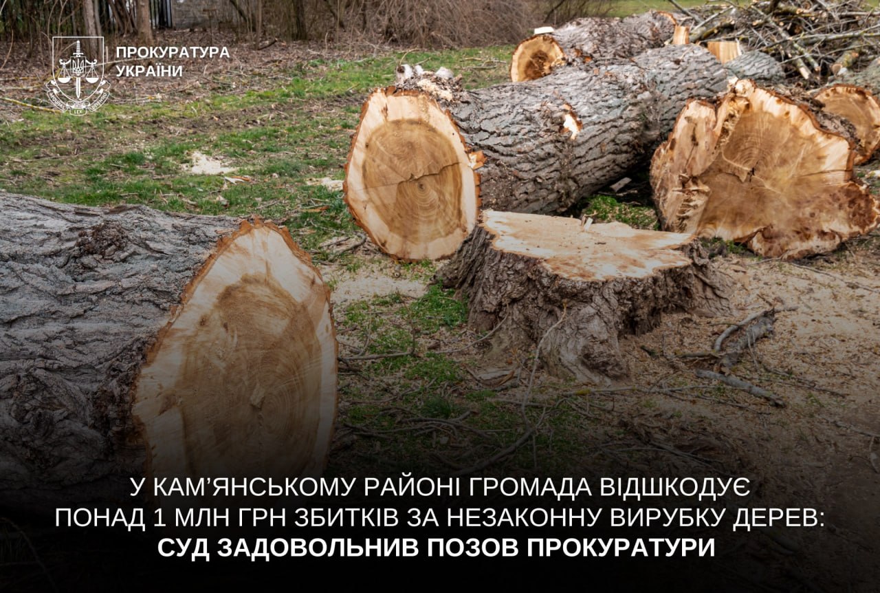 У Кам'янському районі громада має відшкодувати понад 1 млн грн збитків за незаконну вирубку дерев - 05.08.2026 