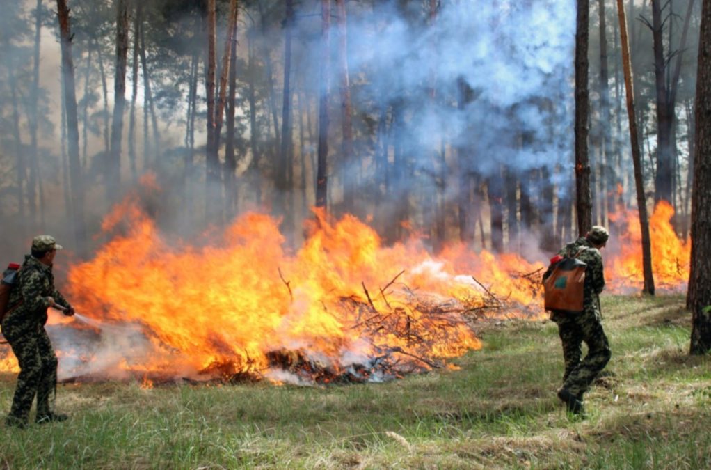Від сьогодні 22 серпня на території Дніпропетровської області оголошено надзвичайну (V класу) пожежну небезпеку Від сьогодні 22 серпня на території Дніпропетровської області оголошено надзвичайну (V класу) пожежну небезпеку