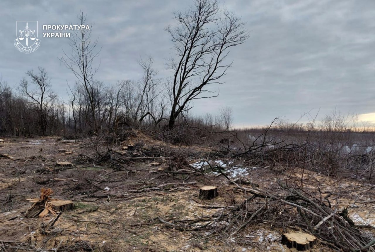 На Дніпропетровщині незаконна вирубка лісу завдала довкіллю майже 10 млн грн збитків: викрито 8 підозрюваних - 14.09.2026