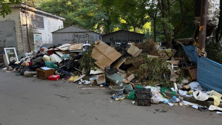 У Дніпрі пояснили, чому гілки та стовбури дерев не можна залишати біля контейнерів - 21.09.2026
