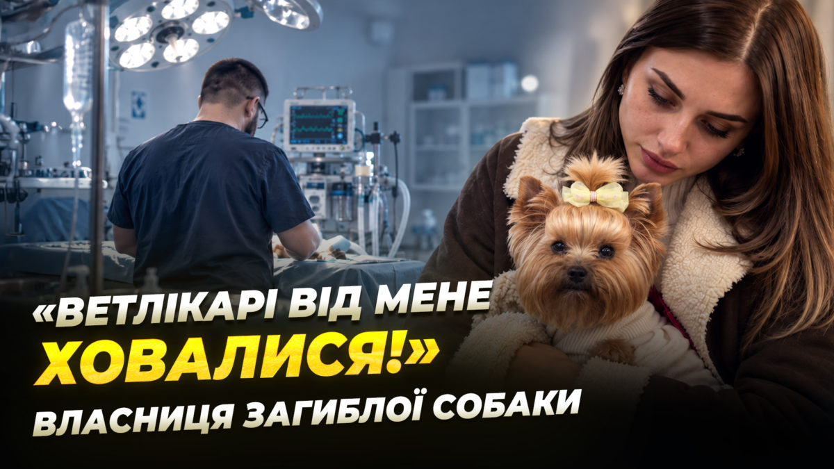 «Після переказу 40 тис. грн собака померла»: що сталося у ветеринарній клініці Дніпра - 07.09.2026