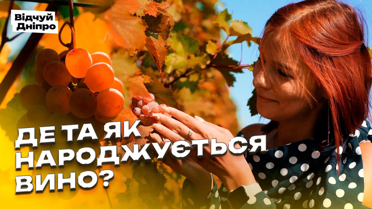 Козацька історія стара садиба й виноградник екскурсія виноробнею на Дніпропетровщині