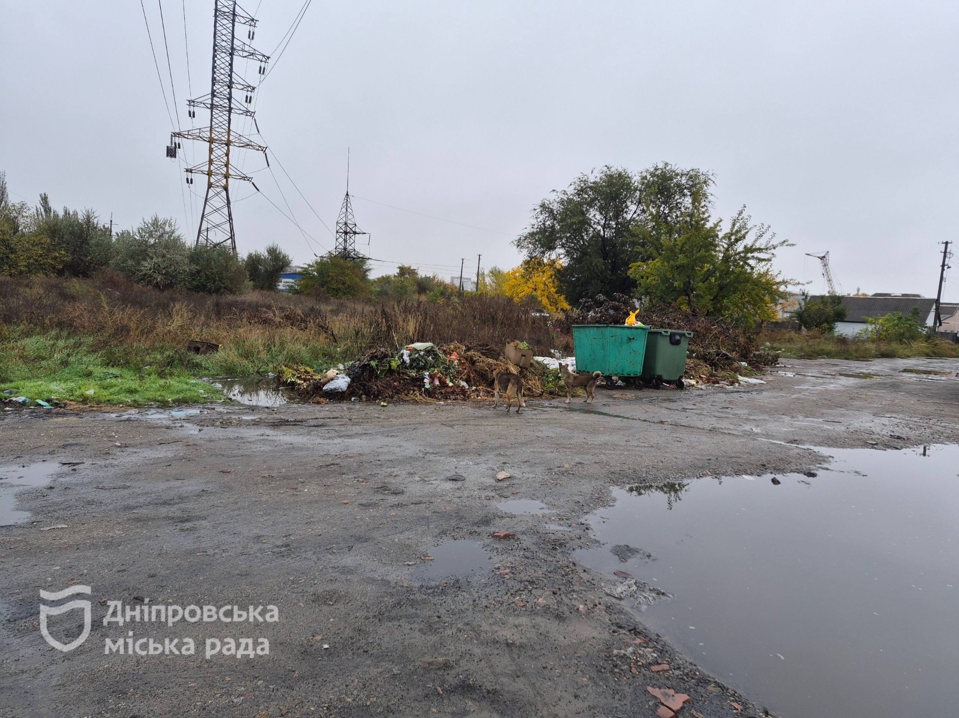 У Дніпрі перевірили договори на послуги з управління побутовими відходами та стан контейнерних майданчиків в Амур-Нижньодніпровському районі - 18.10.2026