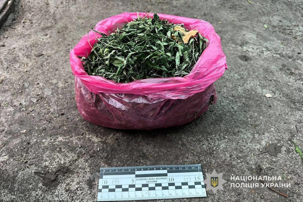 У Марганці в місцевої мешканки вилучили кущі конопель та висушені нарковмісні рослини - 17.10.2026